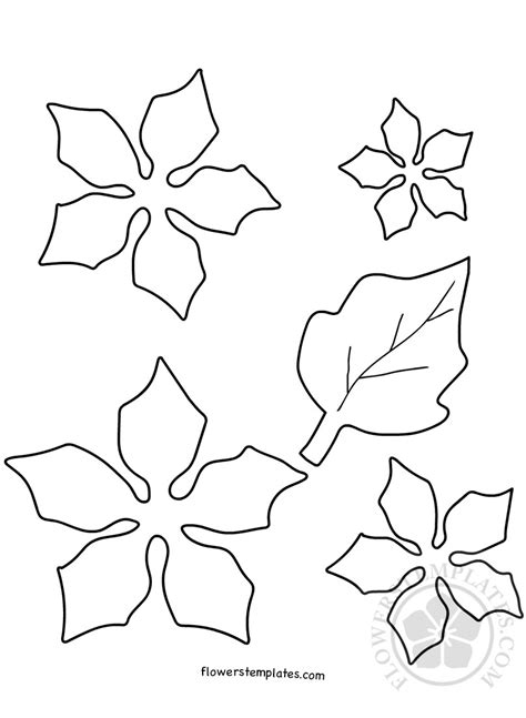 Cut Out Poinsettia Pattern Printable